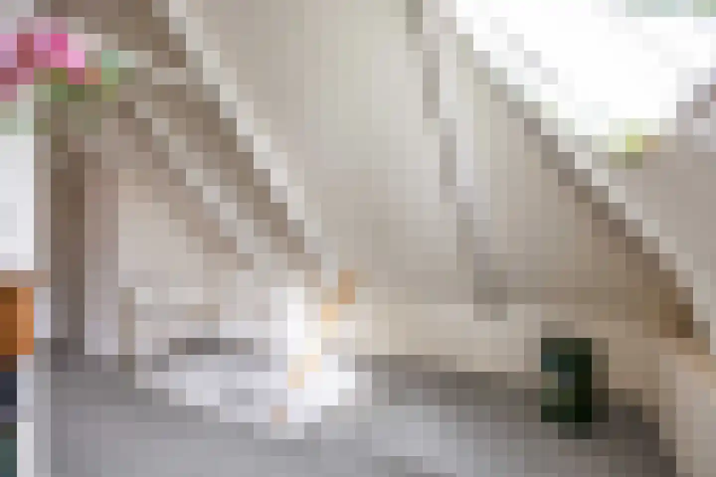 Sânpaed 31 Weidum thumbnail 23