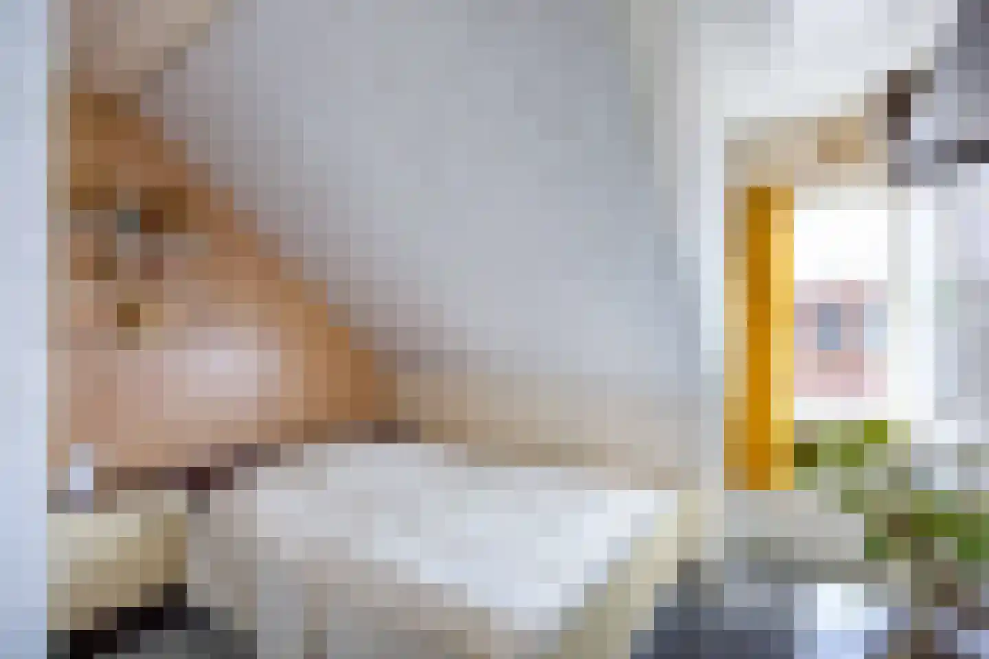 Sânpaed 31 Weidum thumbnail 25