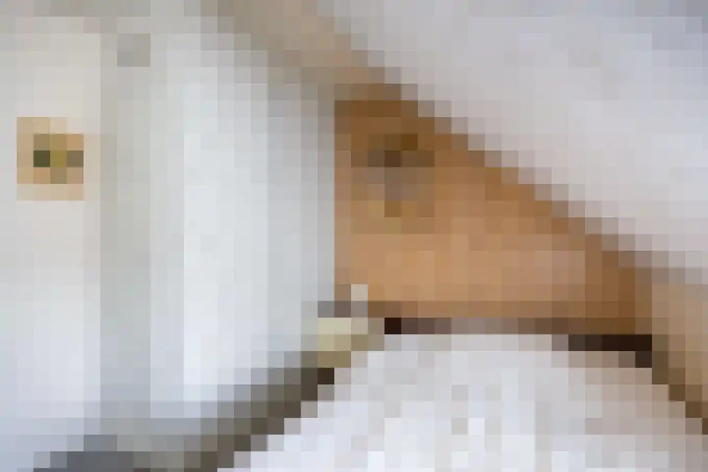 Sânpaed 31 Weidum thumbnail 26