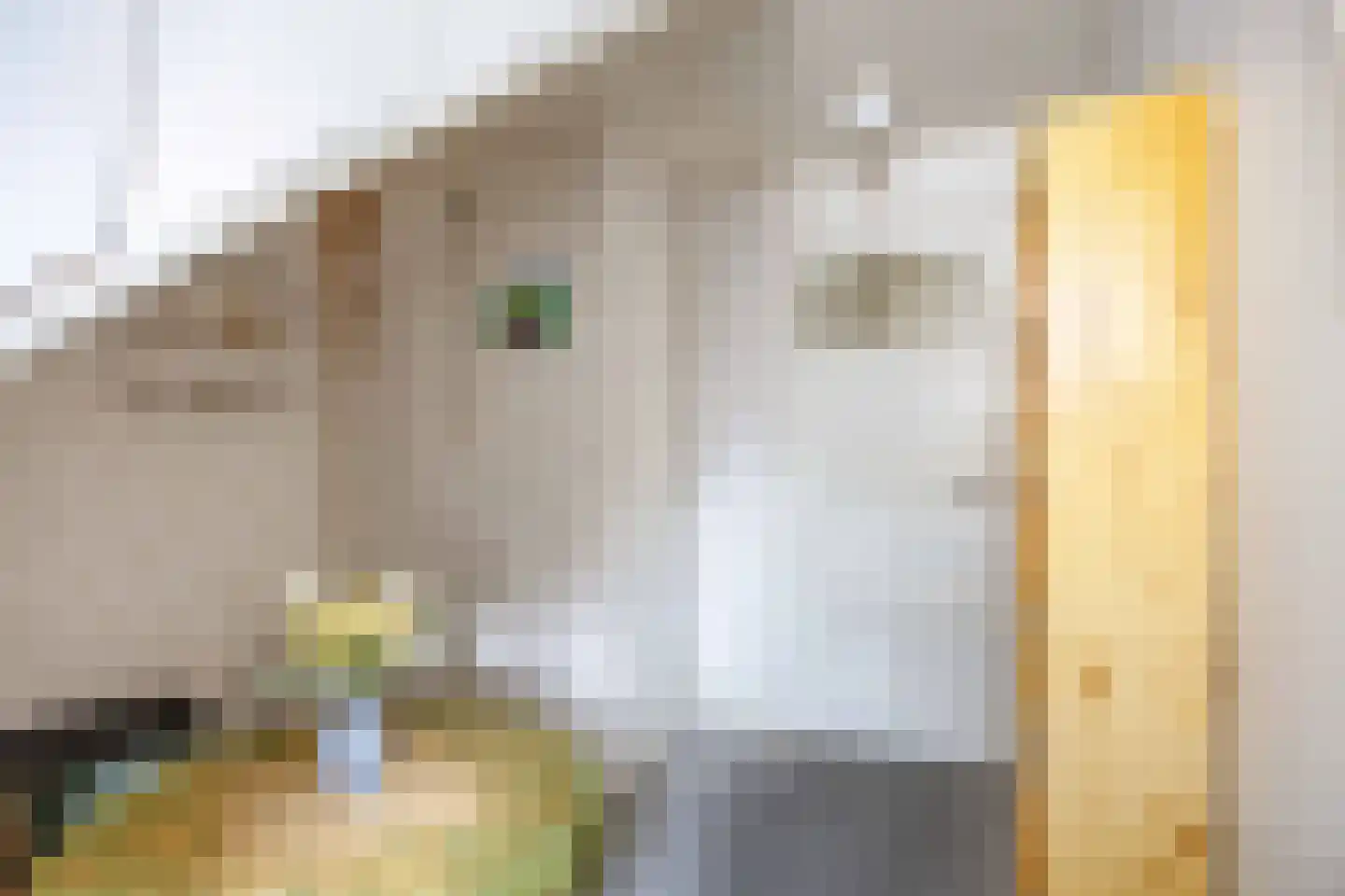 Sânpaed 31 Weidum thumbnail 28