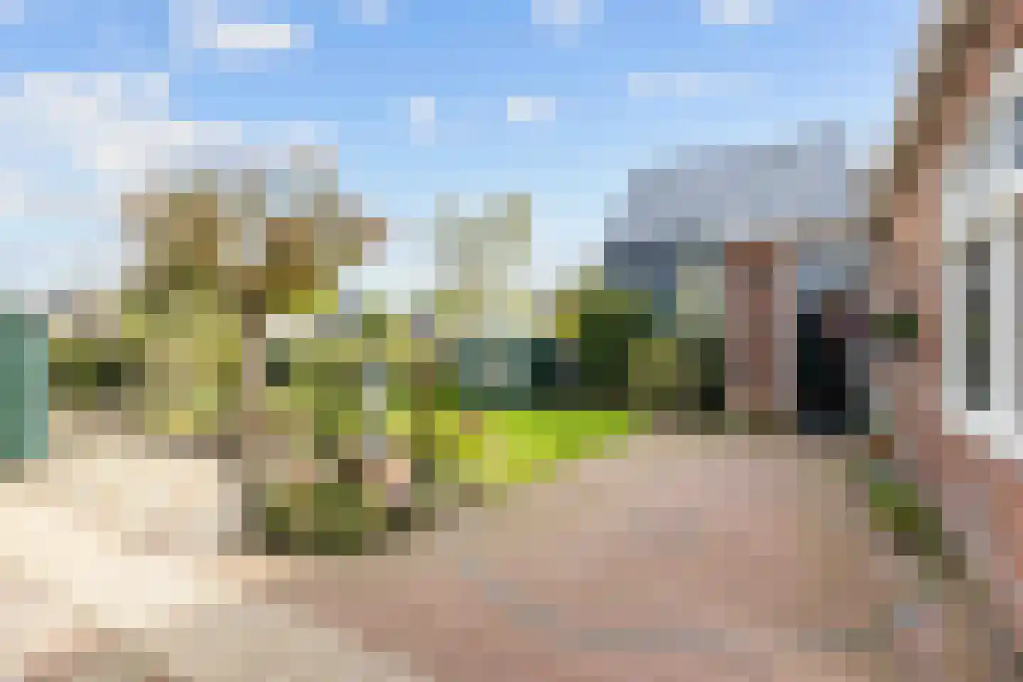 Sânpaed 31 Weidum thumbnail 33