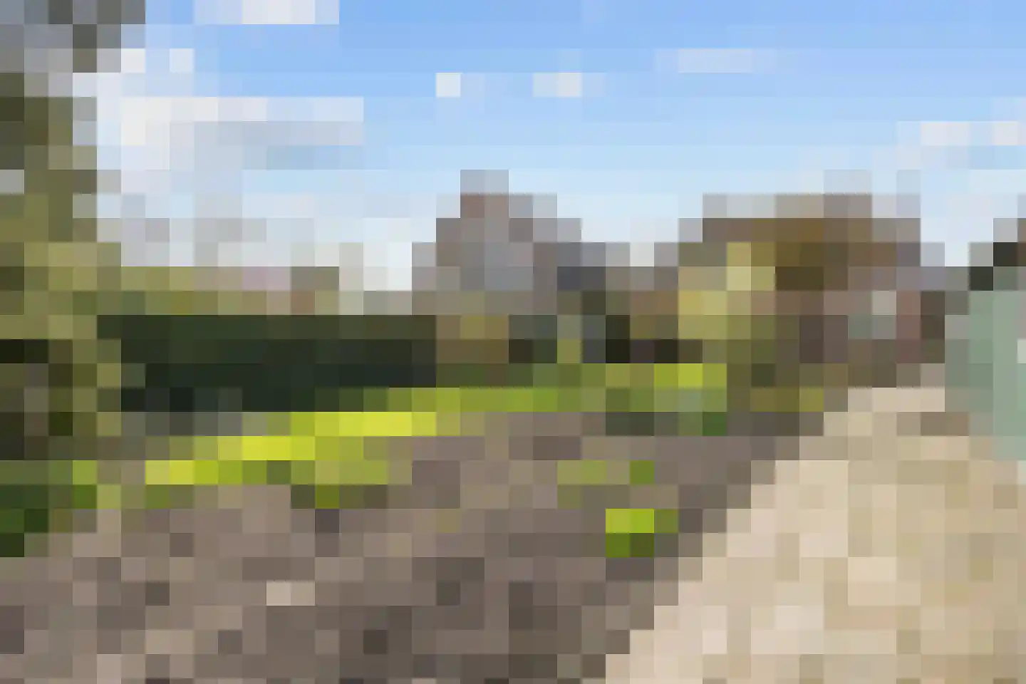 Sânpaed 31 Weidum thumbnail 39