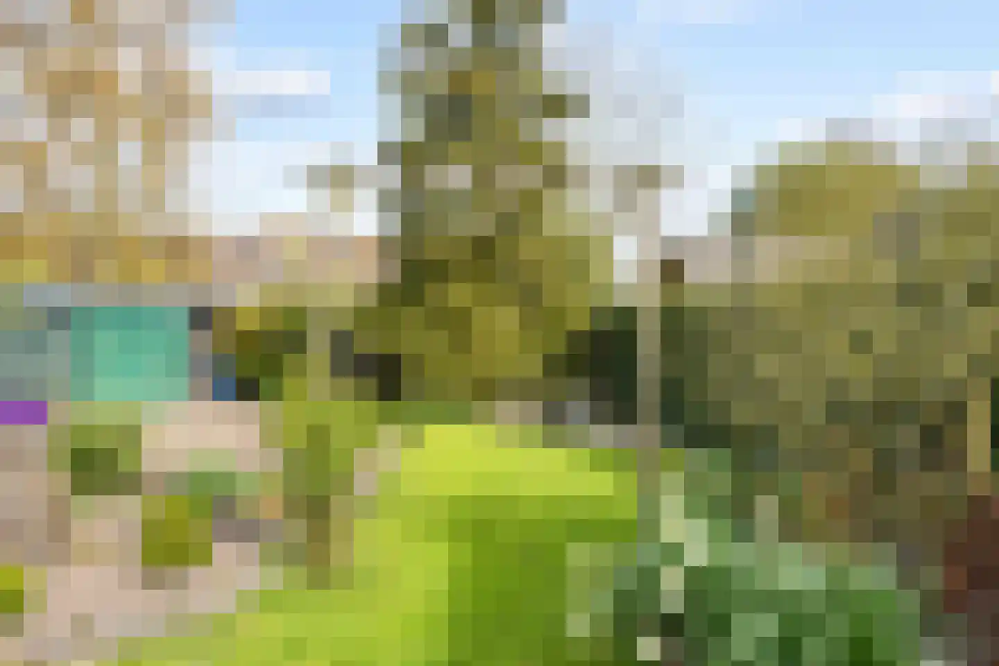 Sânpaed 31 Weidum thumbnail 40