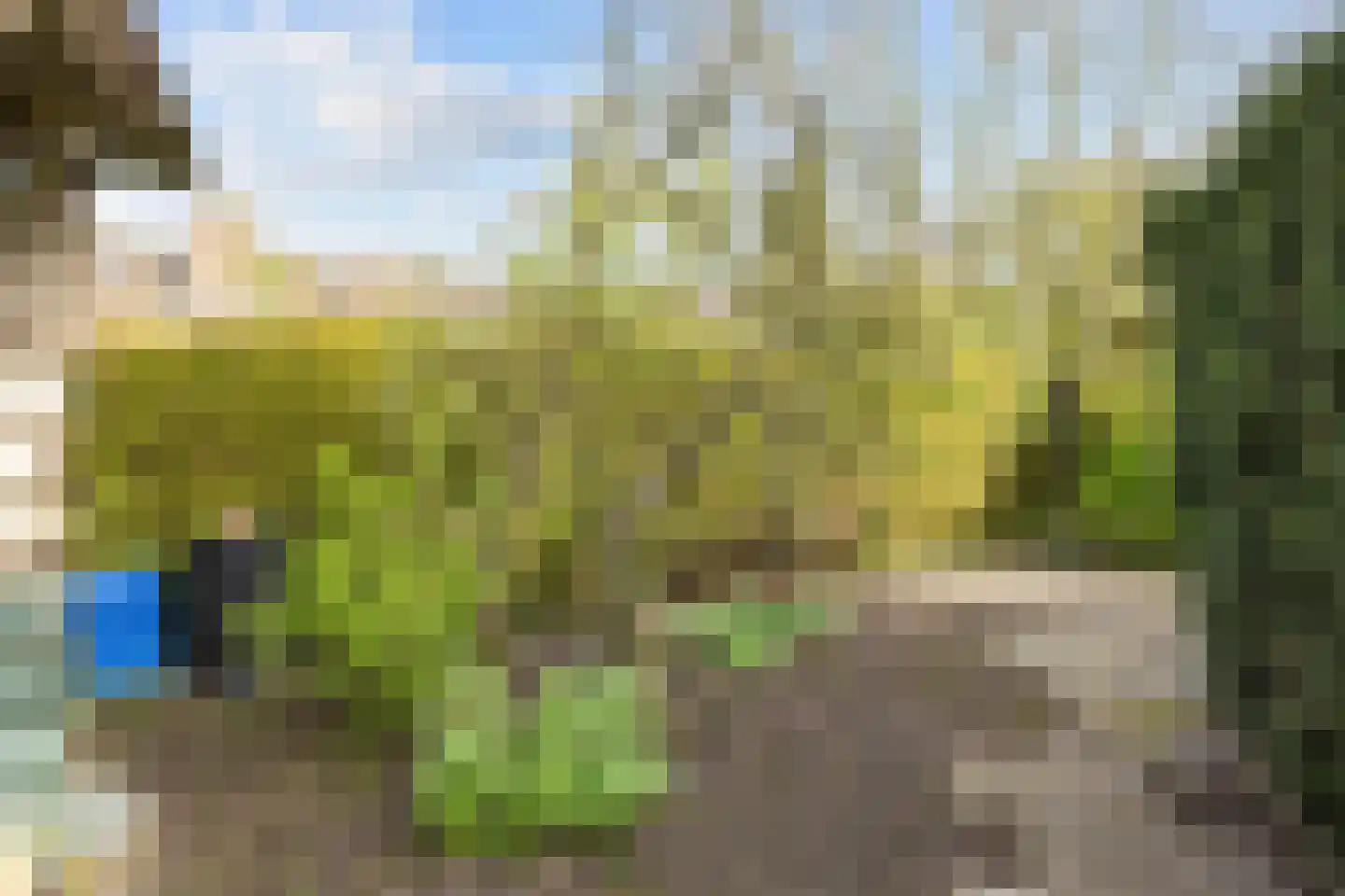 Sânpaed 31 Weidum thumbnail 42
