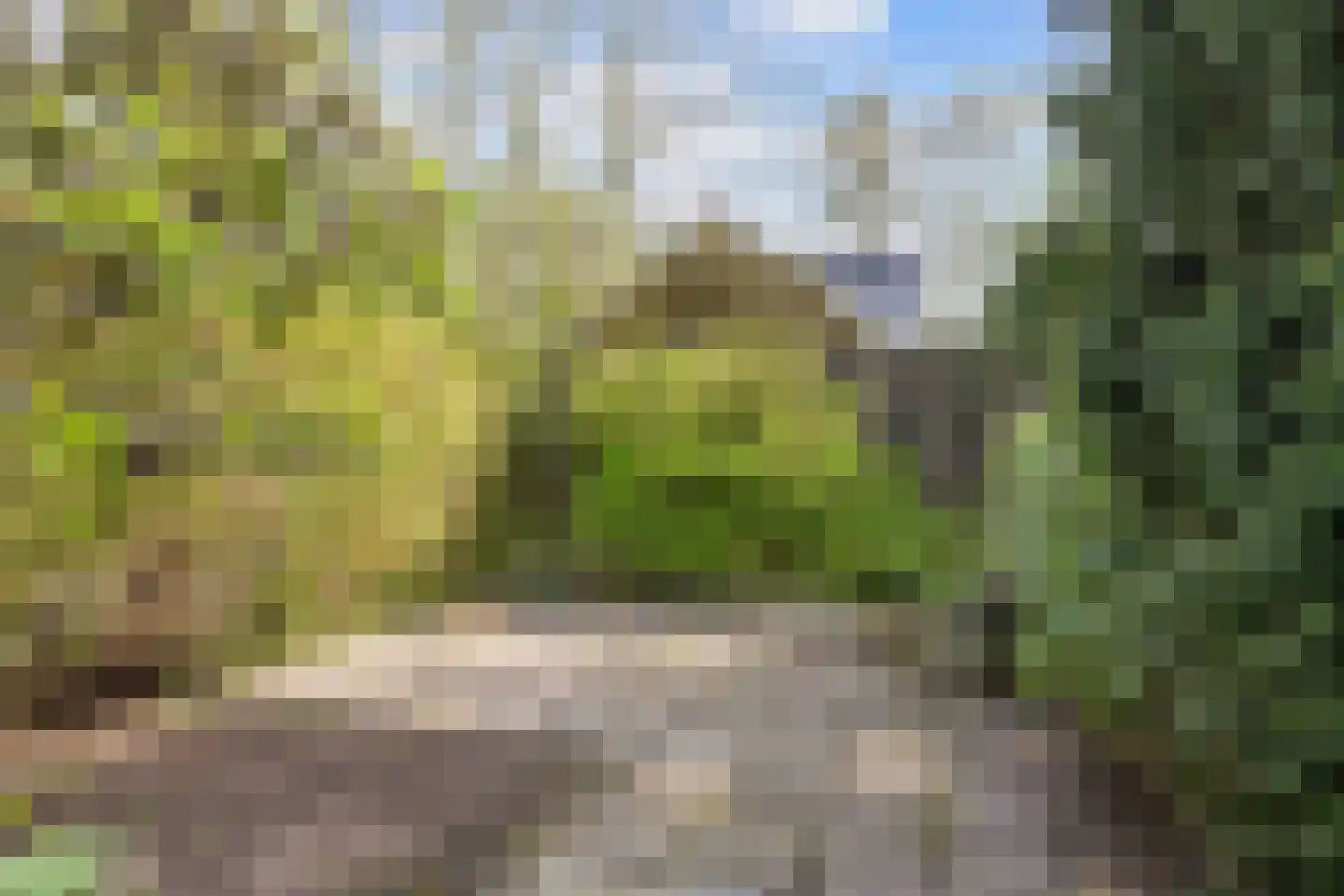 Sânpaed 31 Weidum thumbnail 43
