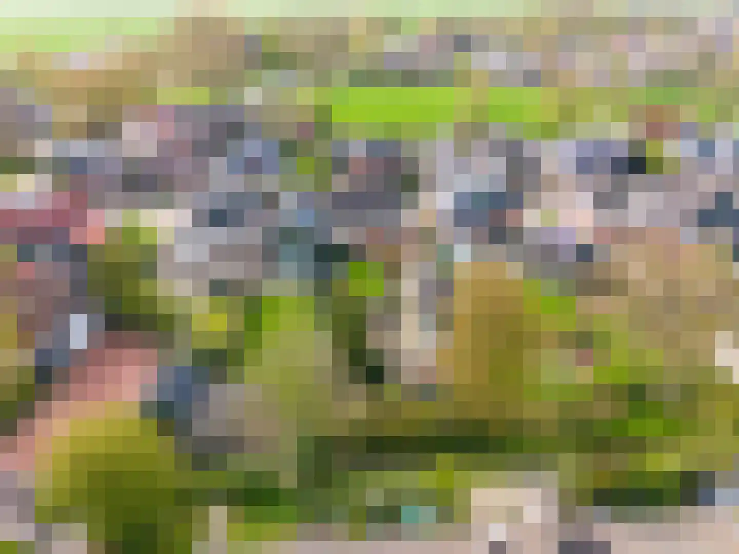 Sânpaed 31 Weidum thumbnail 45