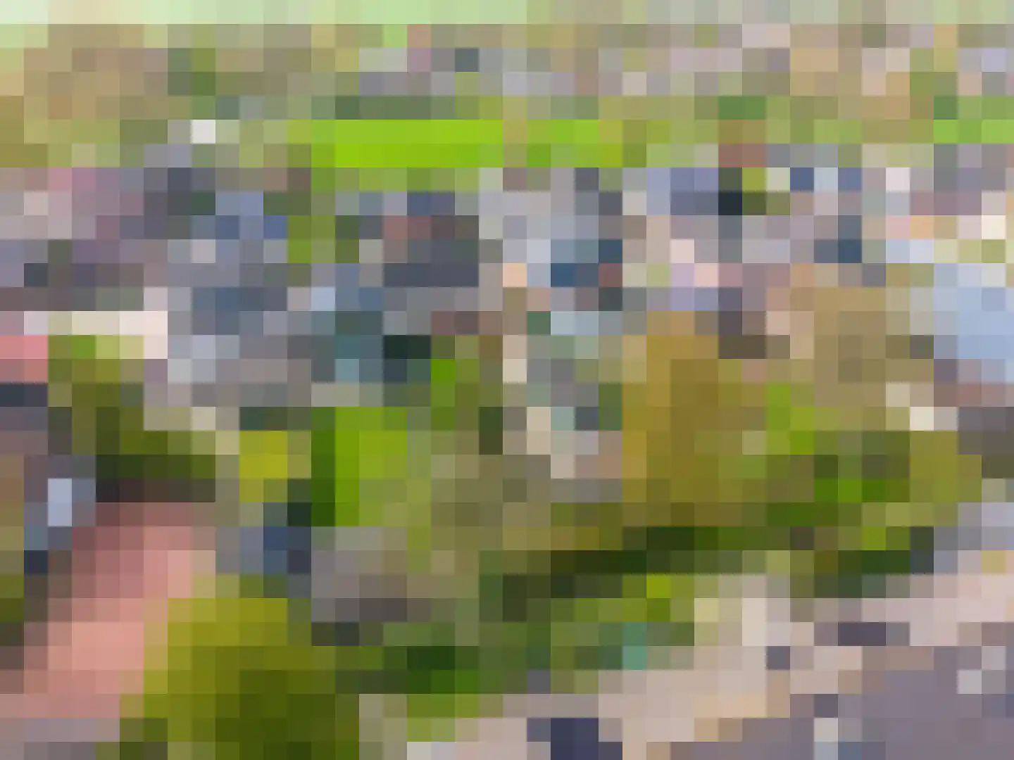 Sânpaed 31 Weidum thumbnail 46