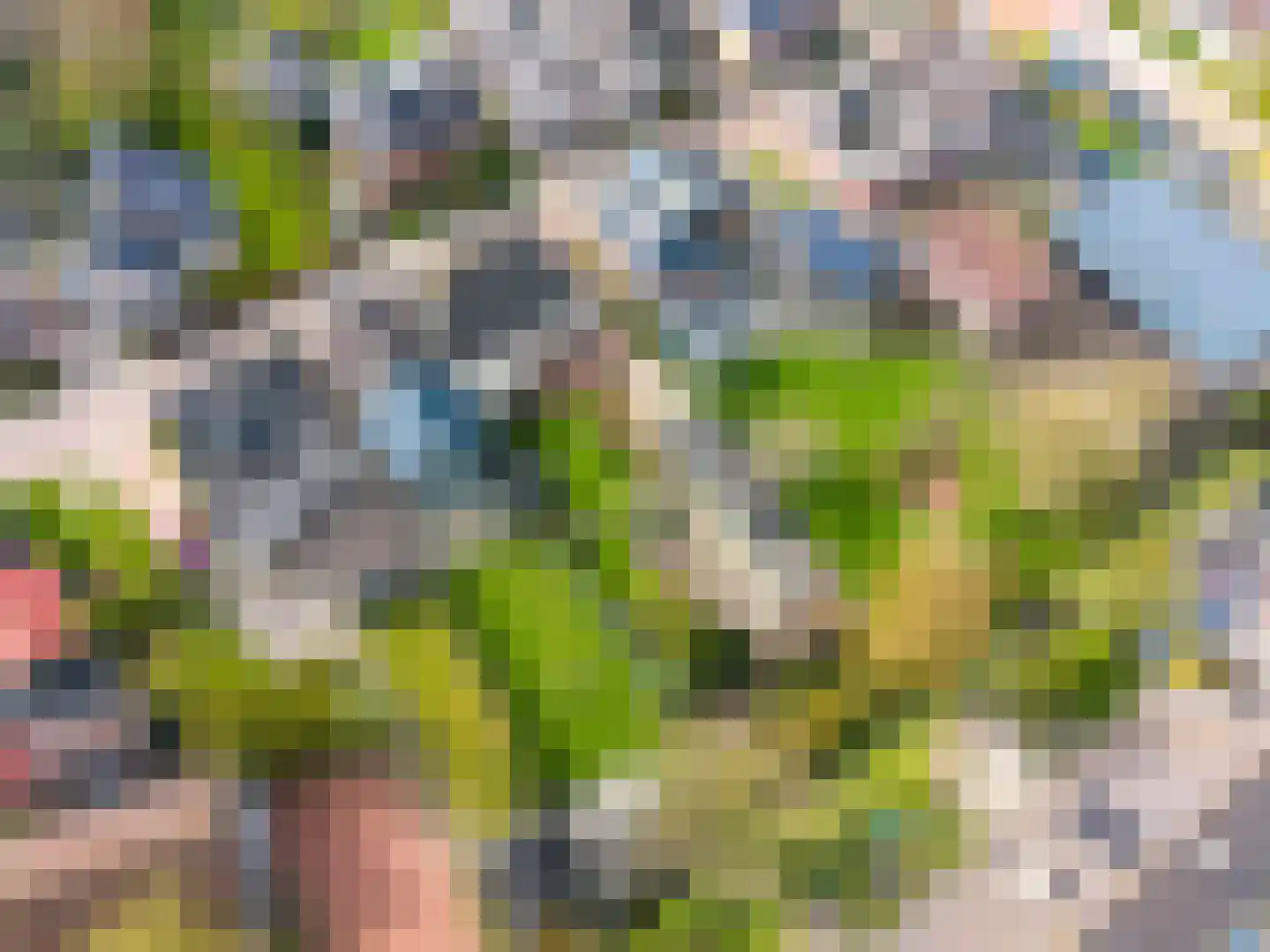 Sânpaed 31 Weidum thumbnail 47