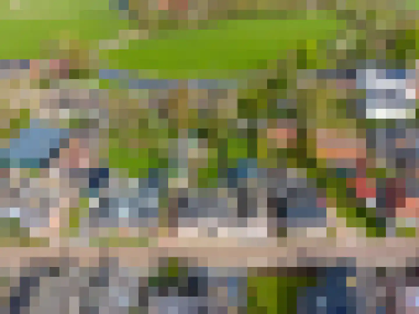 Sânpaed 31 Weidum thumbnail 48