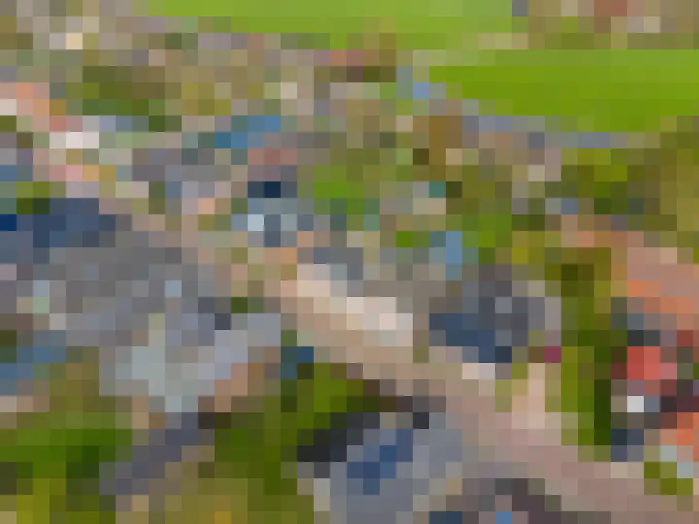 Sânpaed 31 Weidum thumbnail 49