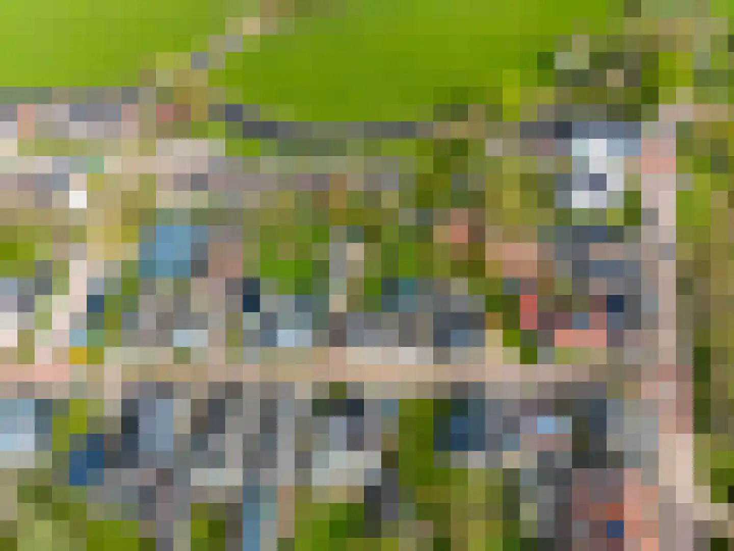 Sânpaed 31 Weidum thumbnail 50
