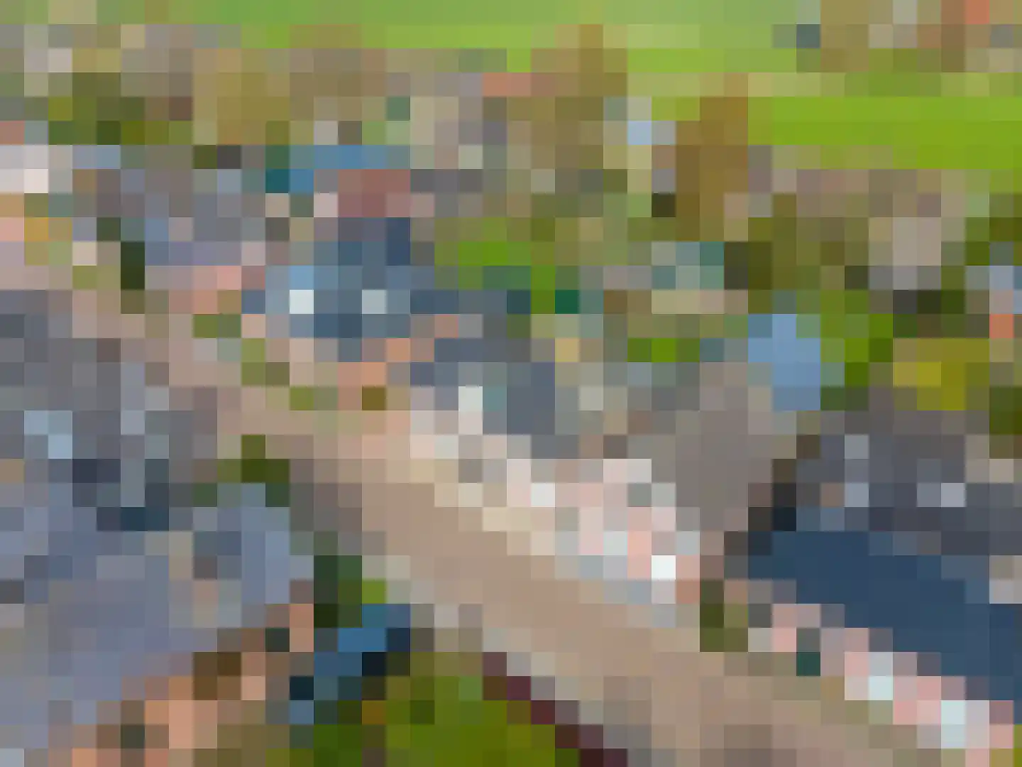 Sânpaed 31 Weidum thumbnail 53