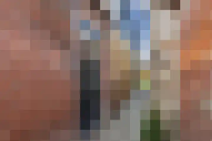 Sânpaed 33 Weidum thumbnail 10