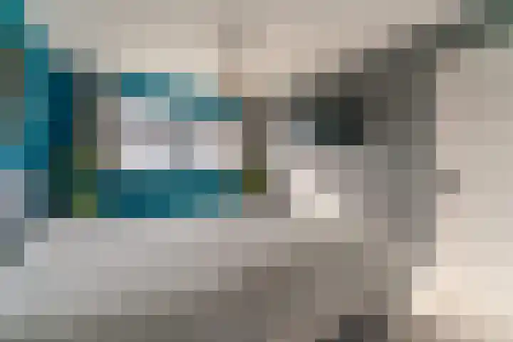 Sânpaed 33 Weidum thumbnail 11