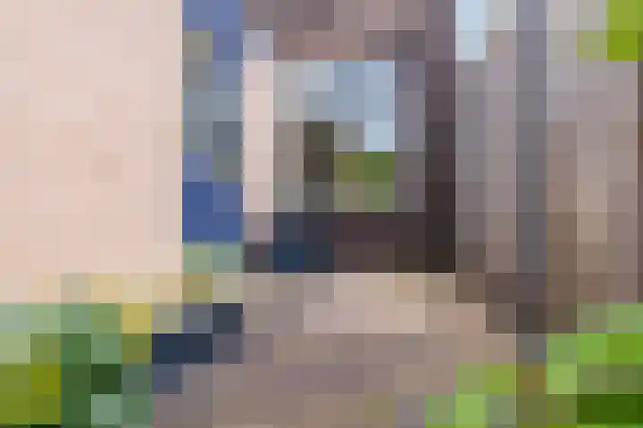 Sânpaed 33 Weidum thumbnail 12