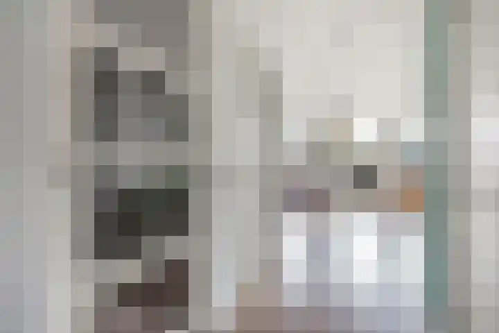 Sânpaed 33 Weidum thumbnail 13