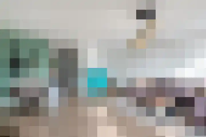 Sânpaed 33 Weidum thumbnail 19