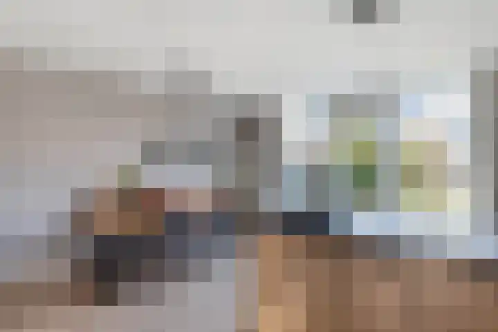 Sânpaed 33 Weidum thumbnail 27