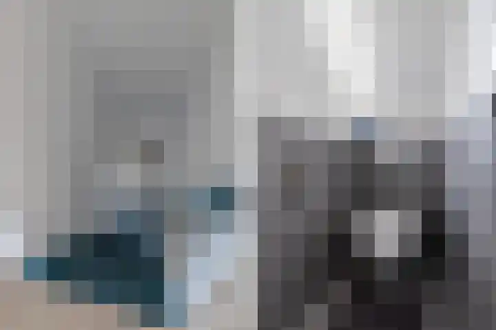 Sânpaed 33 Weidum thumbnail 29