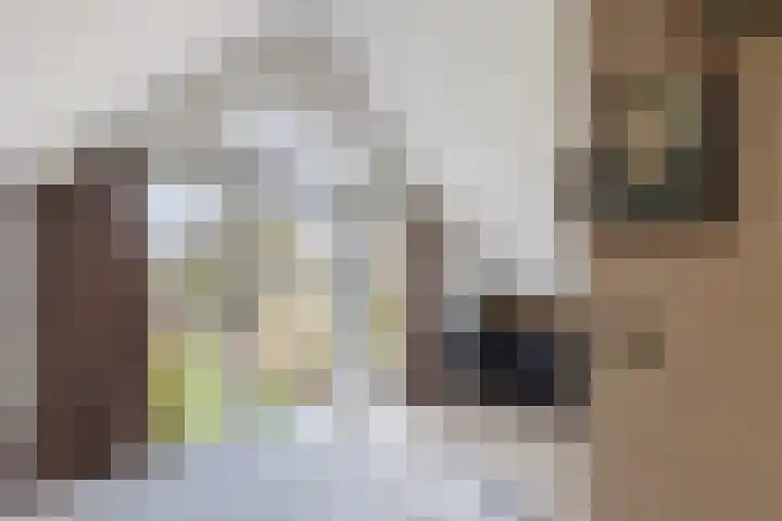 Sânpaed 33 Weidum thumbnail 32