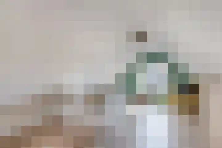 Sânpaed 33 Weidum thumbnail 35