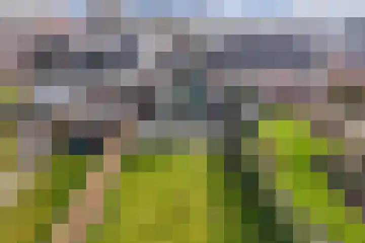 Sânpaed 33 Weidum thumbnail 46
