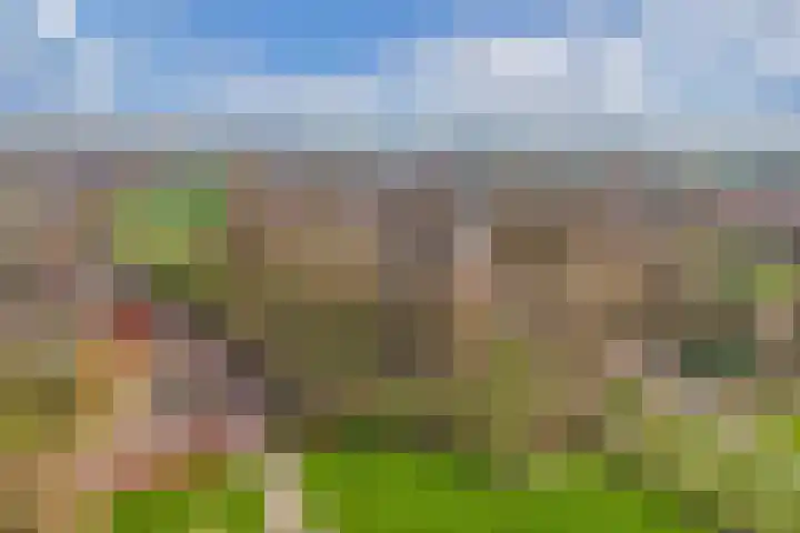 Sânpaed 33 Weidum thumbnail 48