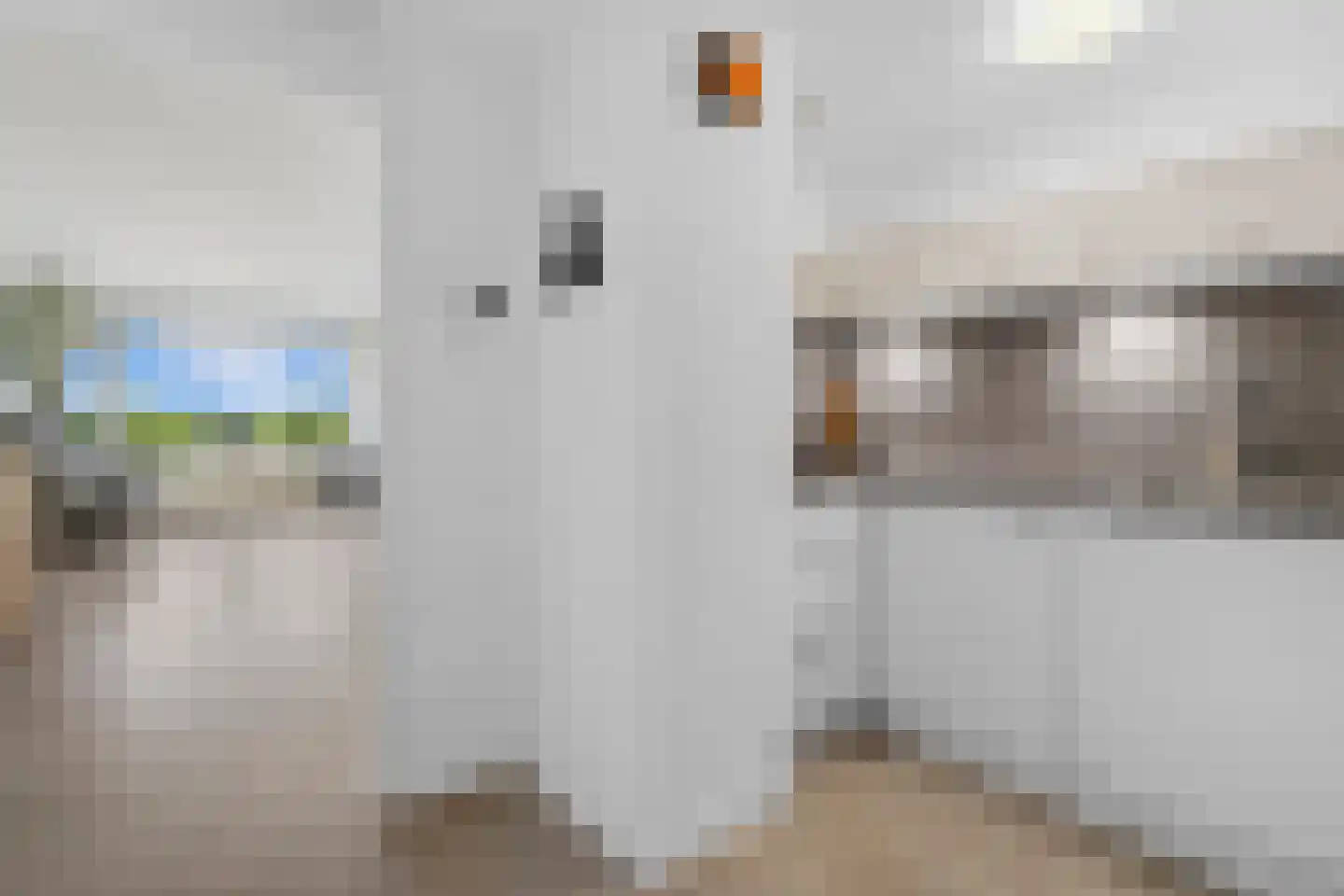 Sans Souci 103 Castricum thumbnail 7