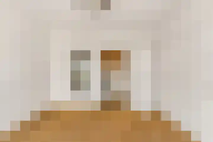 Sans Souci 107 Castricum thumbnail 25