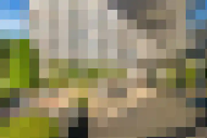 Sans Souci 107 Castricum thumbnail 31
