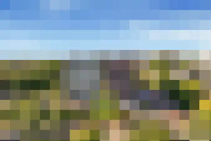 Sans Souci 107 Castricum thumbnail 33