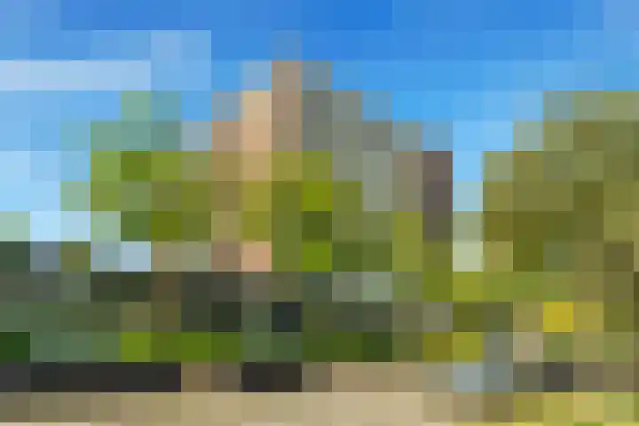 Sans Souci 107 Castricum thumbnail 6