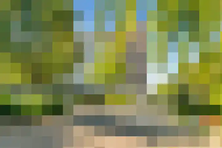Sans Souci 107 Castricum thumbnail 7