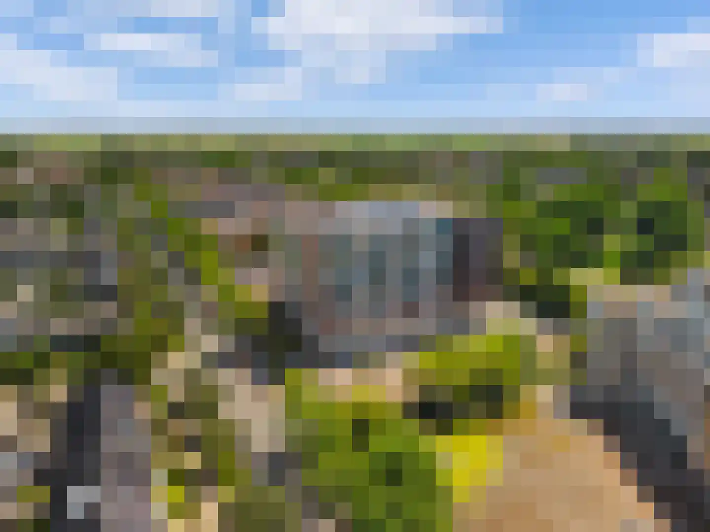 Sans Souci 44 Castricum thumbnail 24