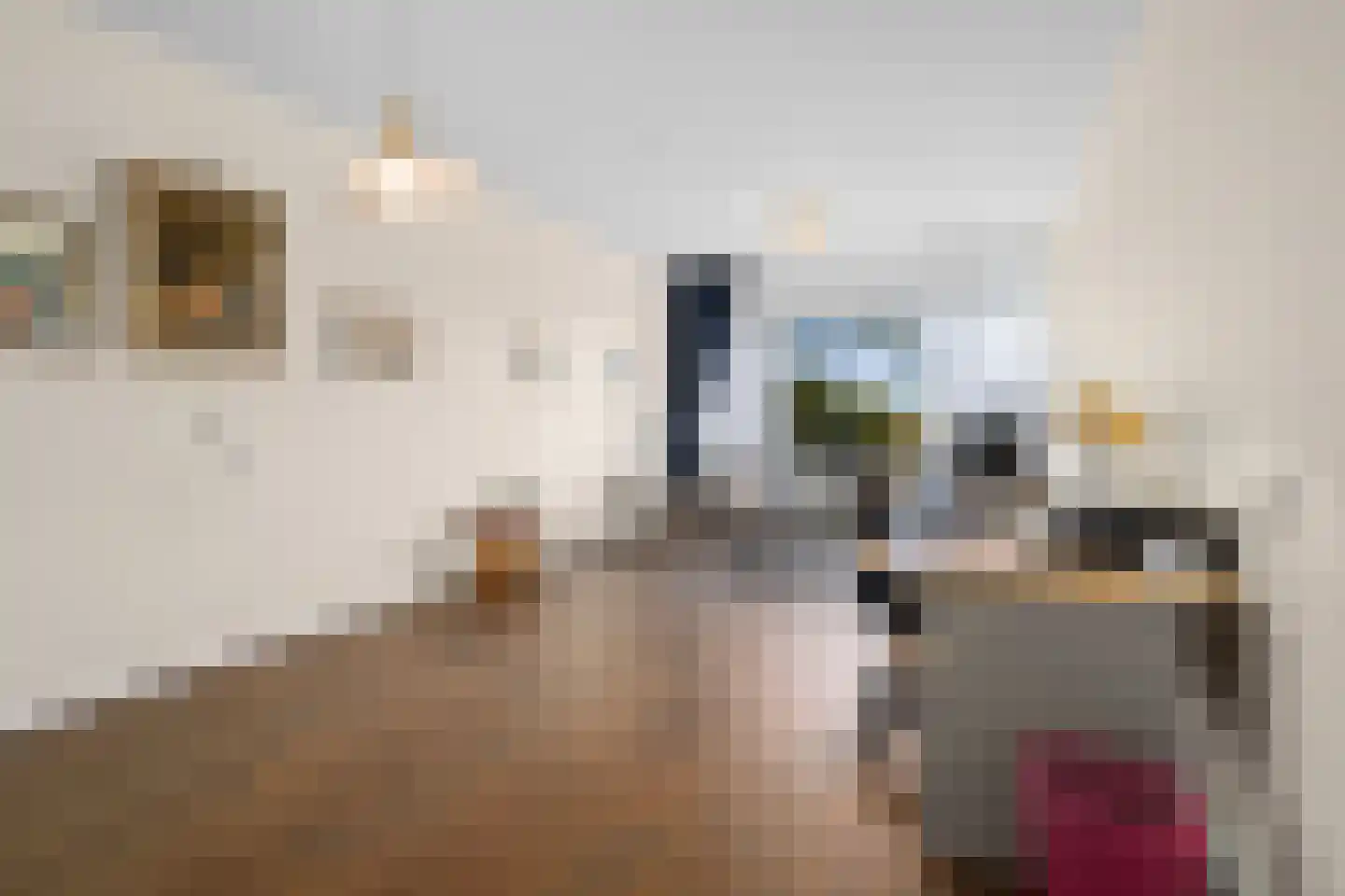 Sans Souci 44 Castricum thumbnail 9