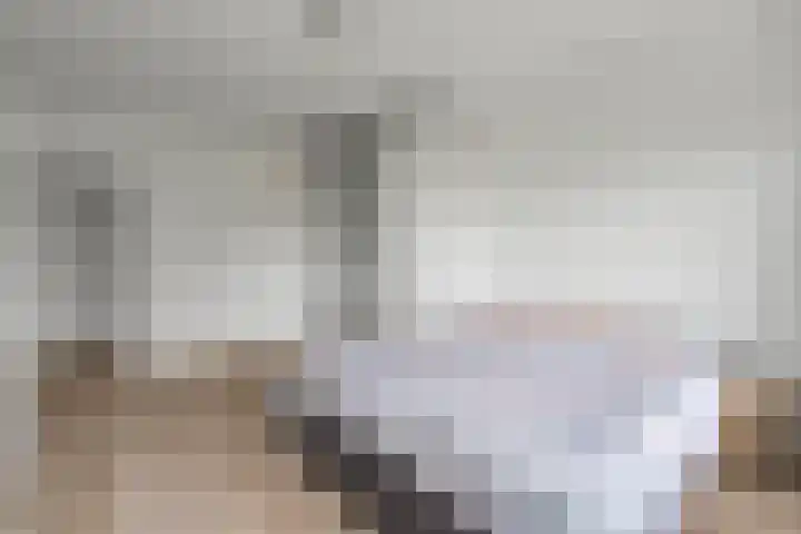 Sans Souci 48 Castricum thumbnail 22