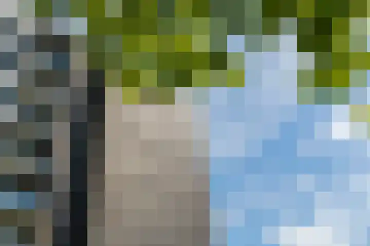 Sans Souci 48 Castricum thumbnail 28