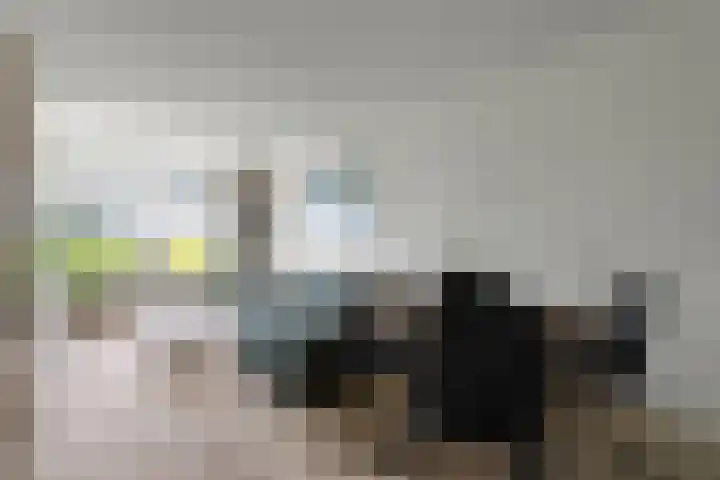 Sans Souci 48 Castricum thumbnail 4
