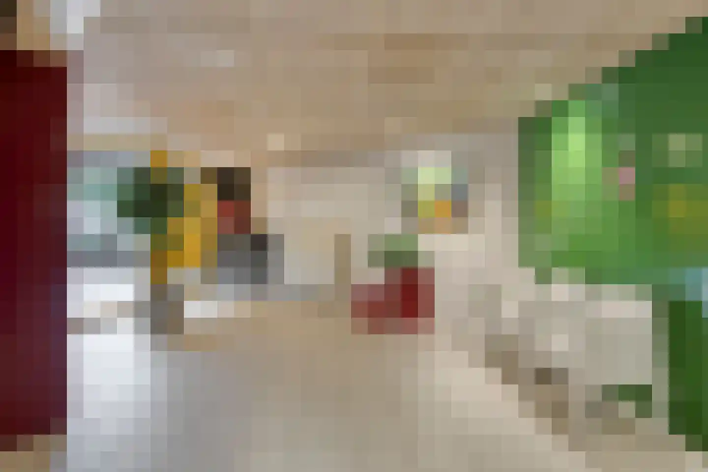 Sans Souci 56 Castricum thumbnail 22