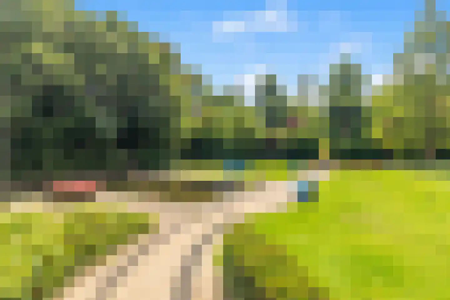 Sans Souci 56 Castricum thumbnail 28