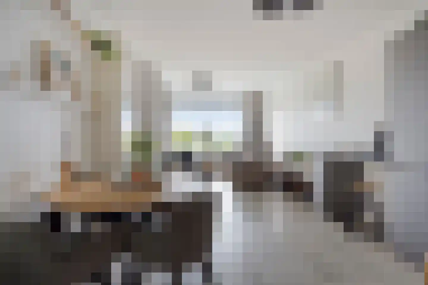 Sans Souci 56 Castricum thumbnail 4