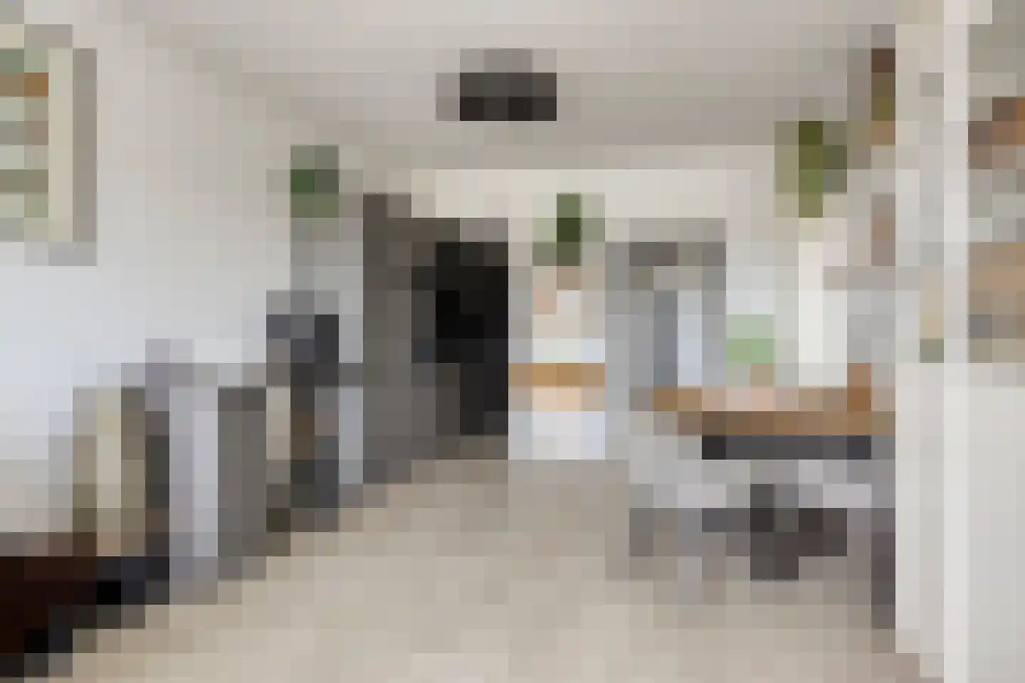 Sans Souci 56 Castricum thumbnail 6