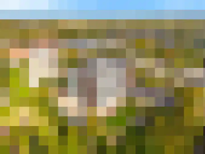 Sans Souci 68 Castricum thumbnail 34