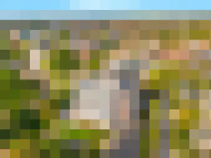 Sans Souci 68 Castricum thumbnail 36
