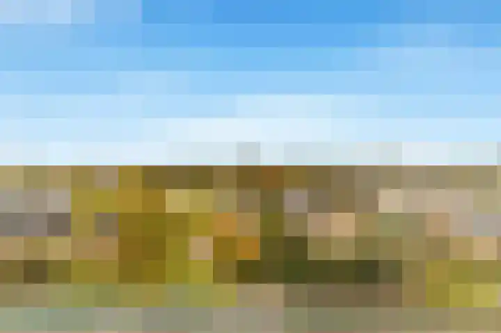 Sans Souci 68 Castricum thumbnail 4