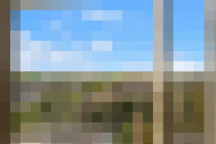 Sans Souci 90 Castricum thumbnail 17