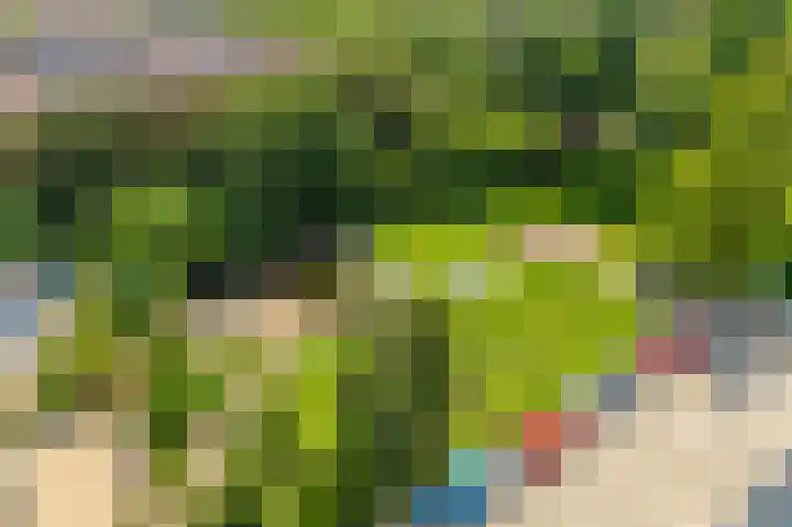 Sans Souci 90 Castricum thumbnail 24