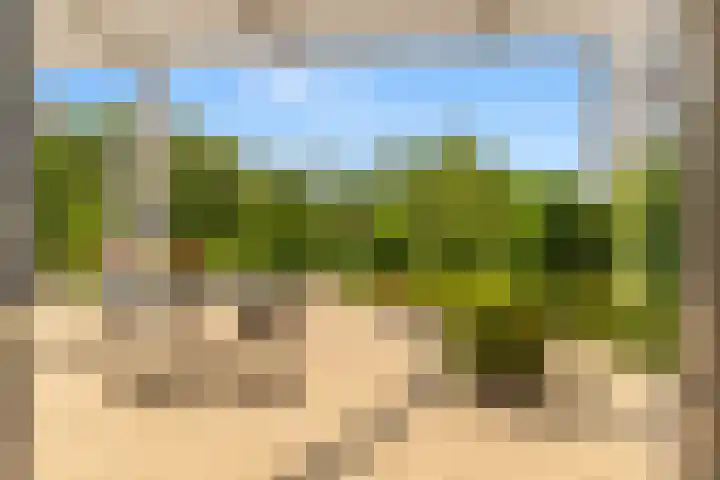 Sans Souci 90 Castricum thumbnail 27