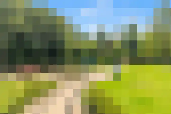 Sans Souci 90 Castricum thumbnail 28