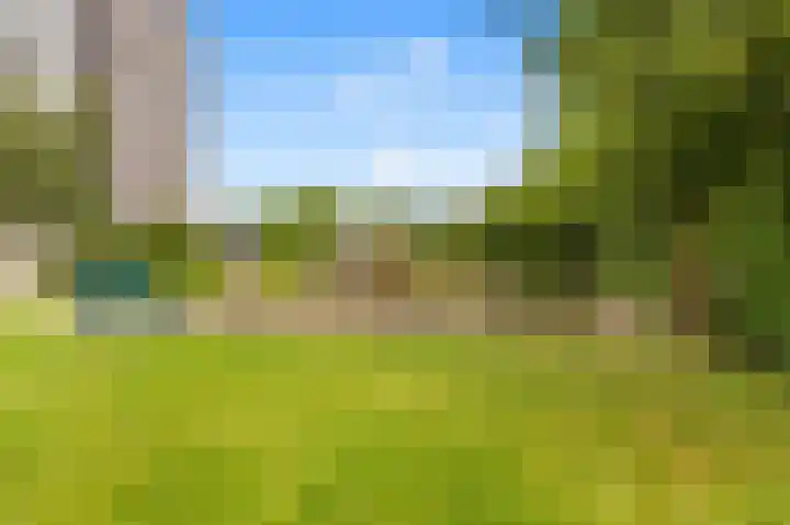 Sans Souci 90 Castricum thumbnail 29